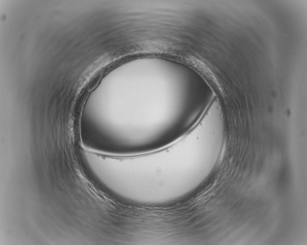 X0000060800676200511141440