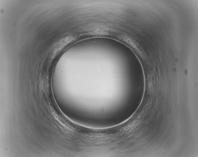 X0000060800677200511141440