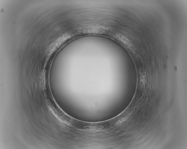 X0000060800678200511141440