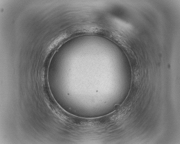 X0000060800679200511141440