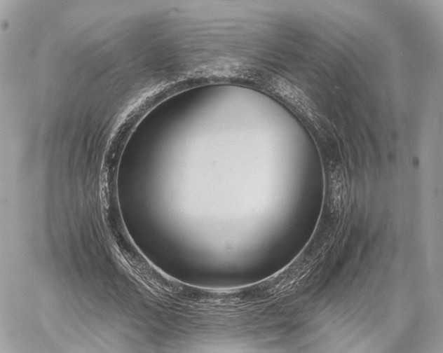 X0000060800680200511141440