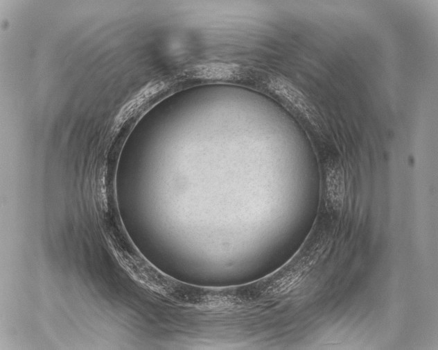 X0000060800682200511141440