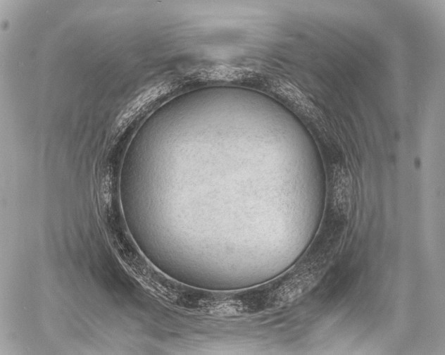 X0000060800683200511141440