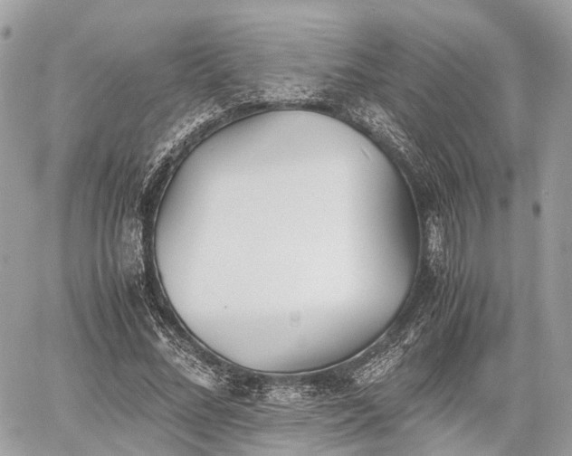 X0000060800684200511141440