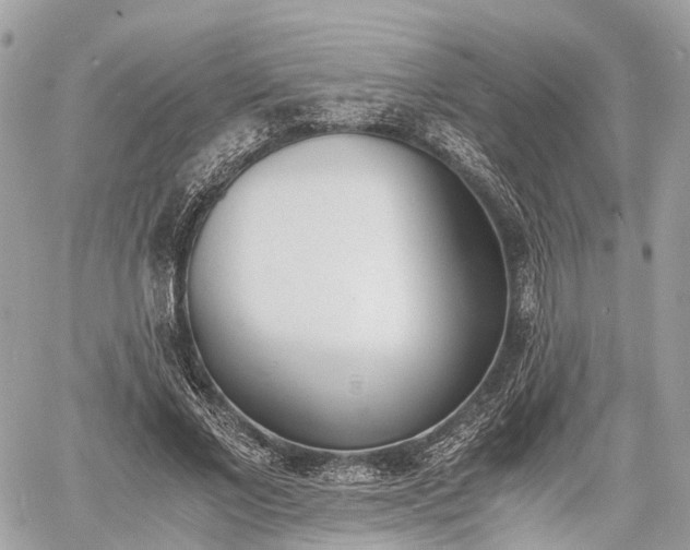 X0000060800685200511141440