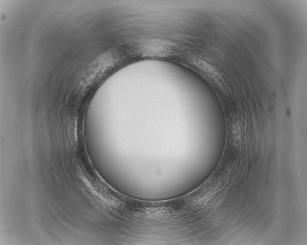 X0000060800686200511141440