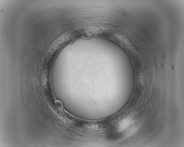 X0000060800687200511141440