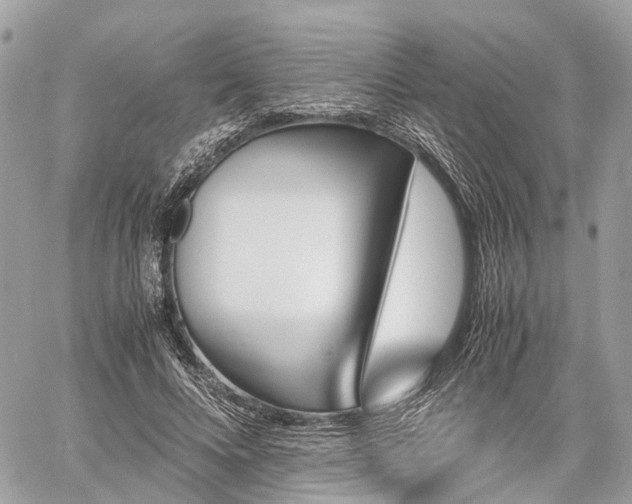 X0000060800688200511141440