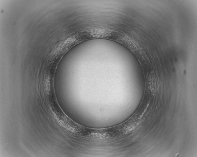 X0000060800690200511141440