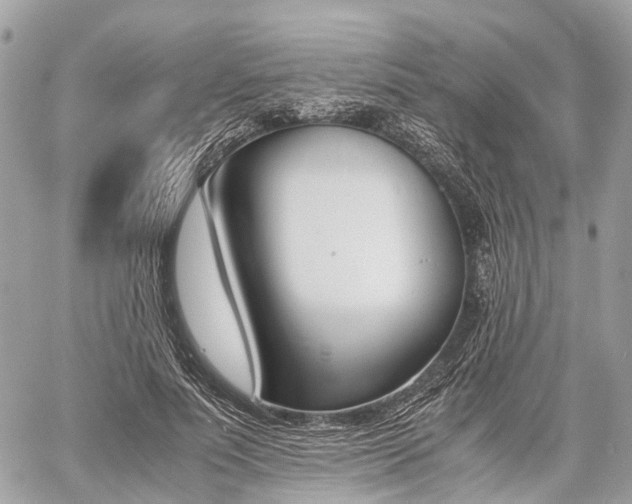 X0000060800691200511141440