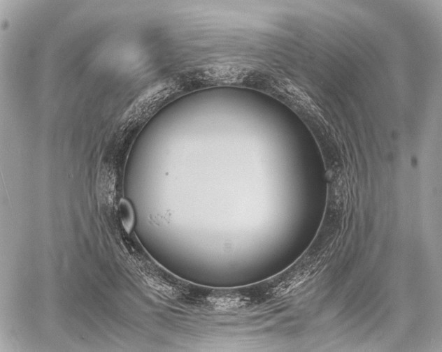 X0000060800693200511141440