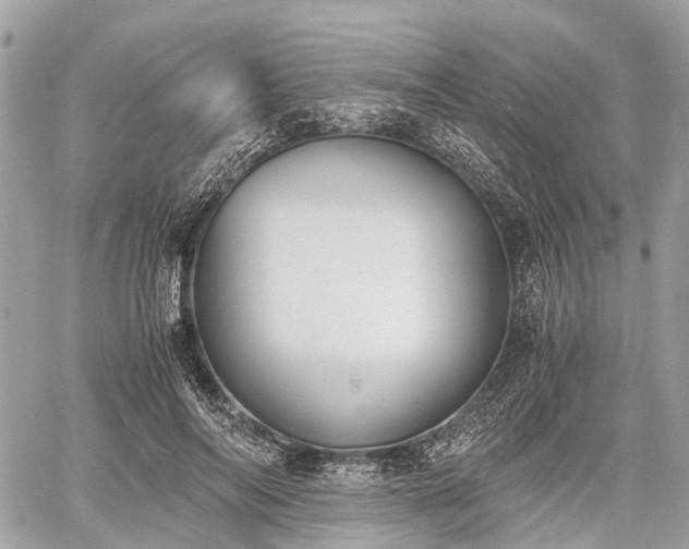 X0000060800694200511141440