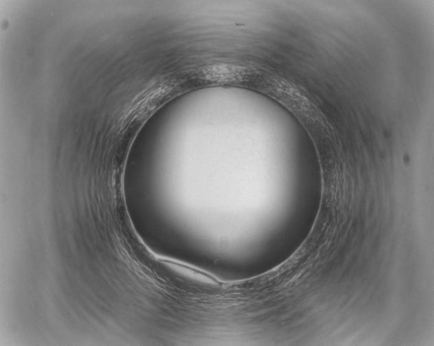 X0000060800696200511141440