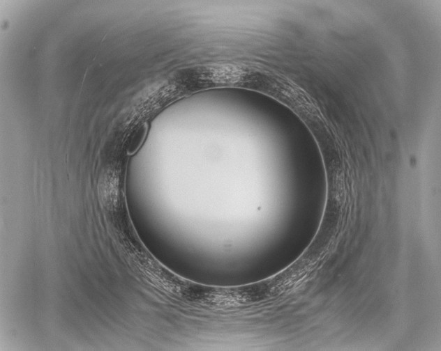 X0000060800697200511141440