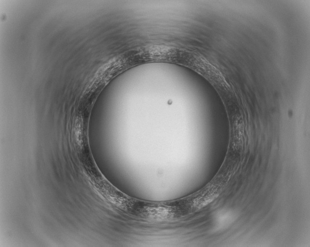 X0000060800698200511141440