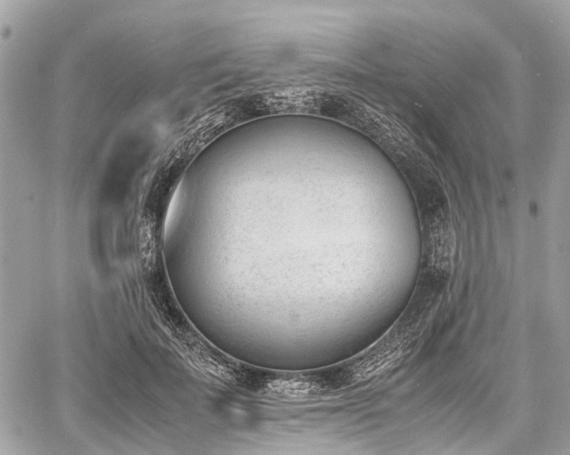 X0000060800699200511141440