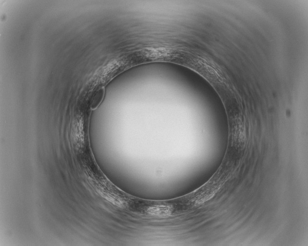 X0000060800700200511141440