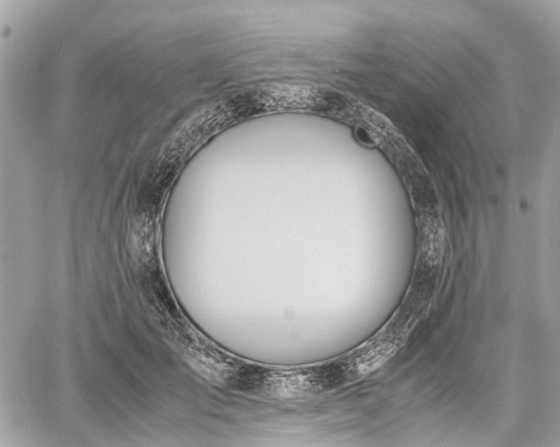 X0000060800701200511141440