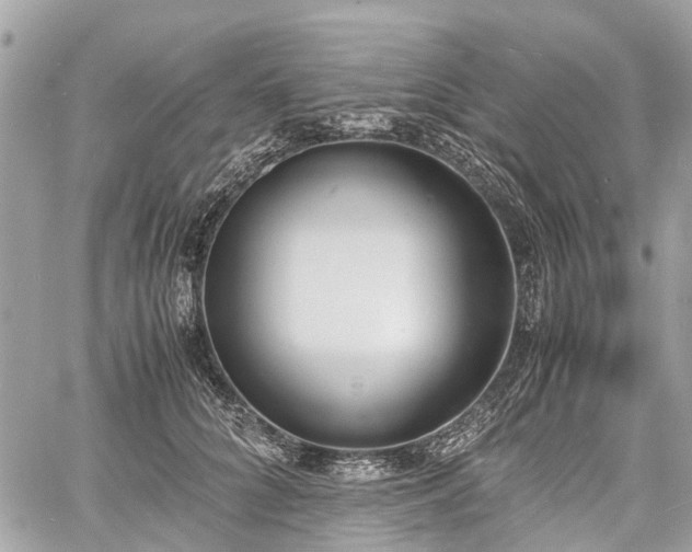 X0000060800704200511141440