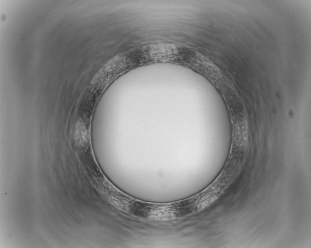 X0000060800705200511141440