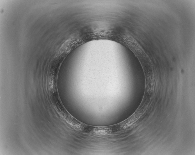 X0000060800706200511141440