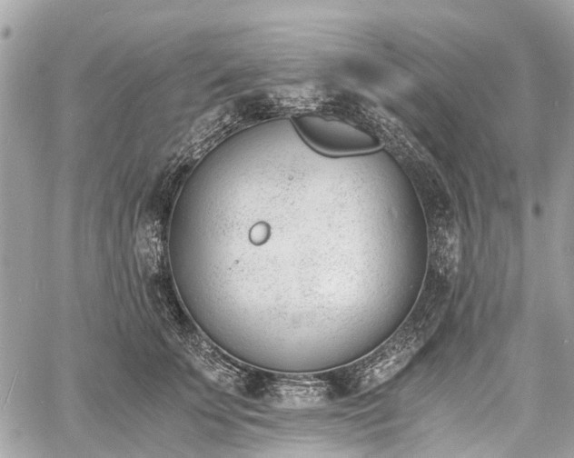 X0000060800707200511141440