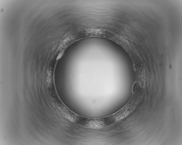 X0000060800708200511141440