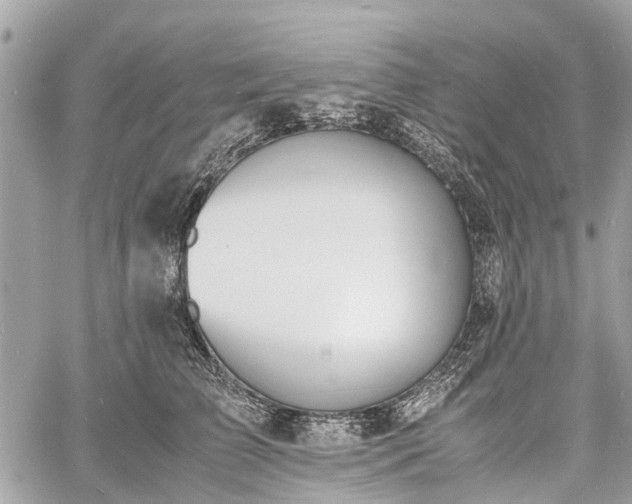 X0000060800709200511141440