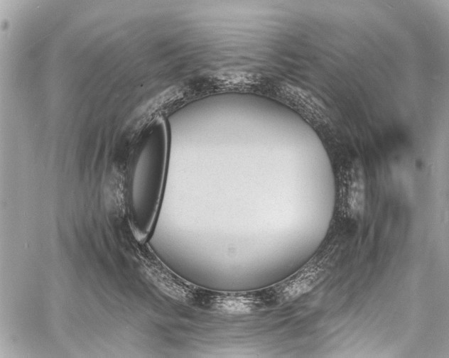 X0000060800710200511141440