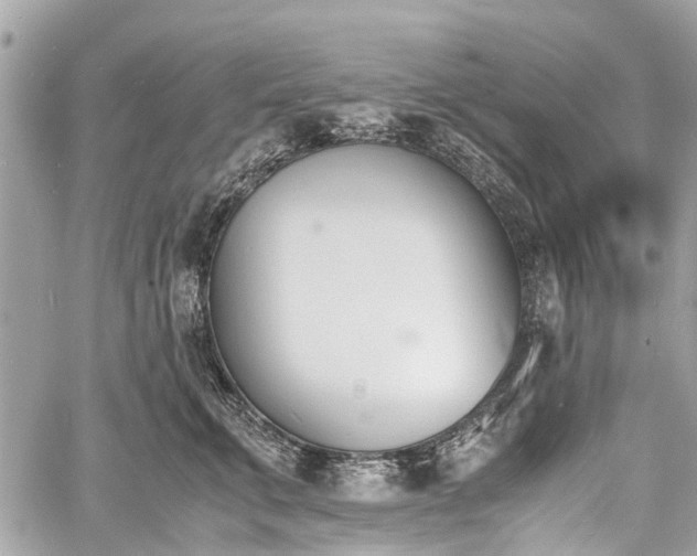 X0000060800711200511141440