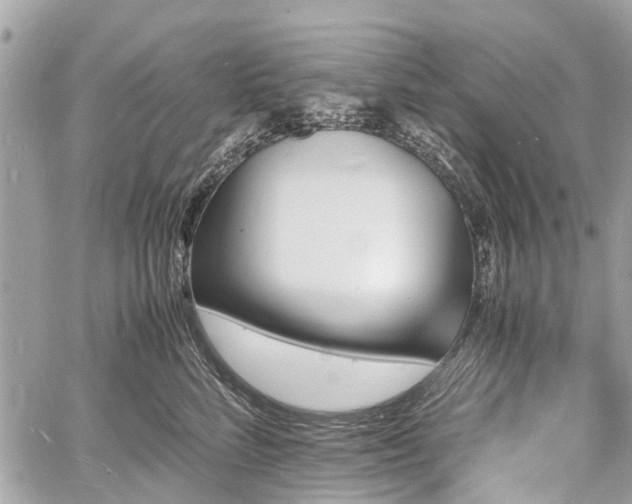 X0000060800712200511141440