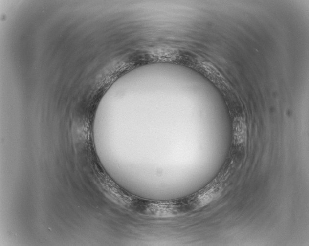 X0000060800713200511141440