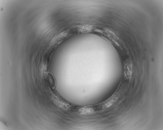 X0000060800714200511141440