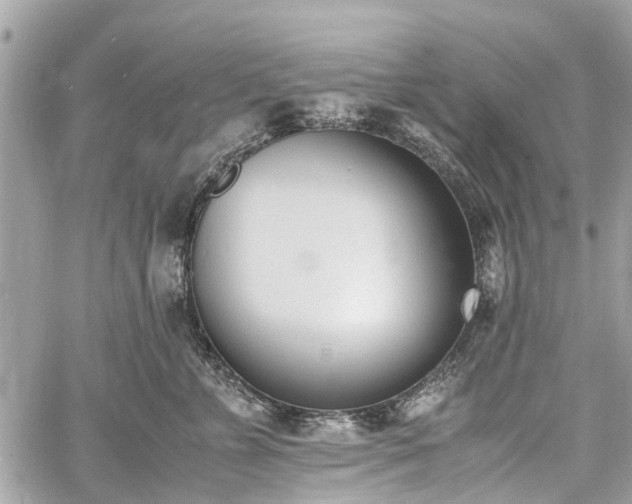 X0000060800715200511141440