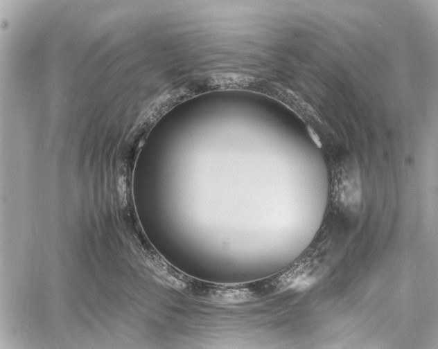 X0000060800716200511141440