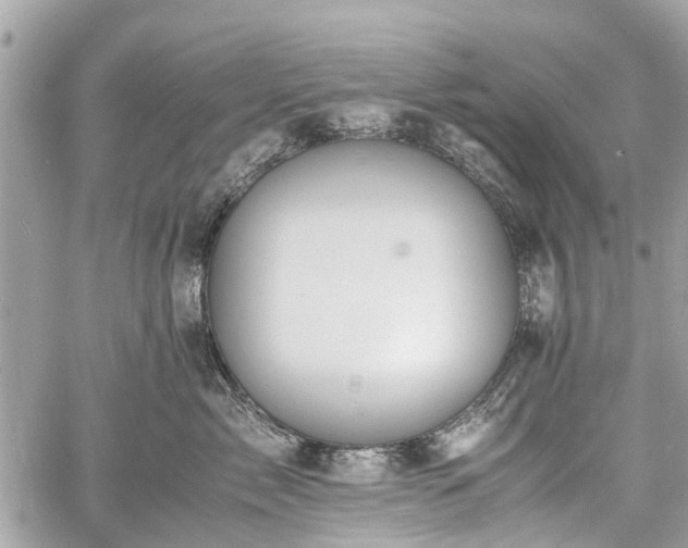 X0000060800717200511141440