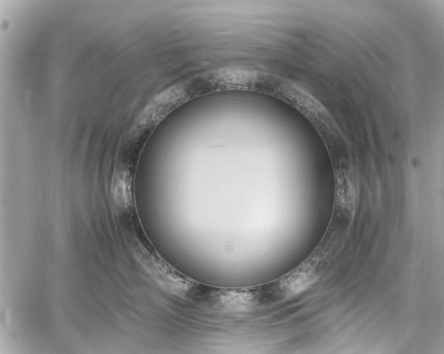 X0000060800718200511141440