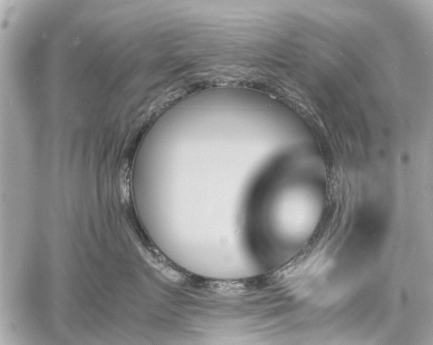 X0000060800719200511141440