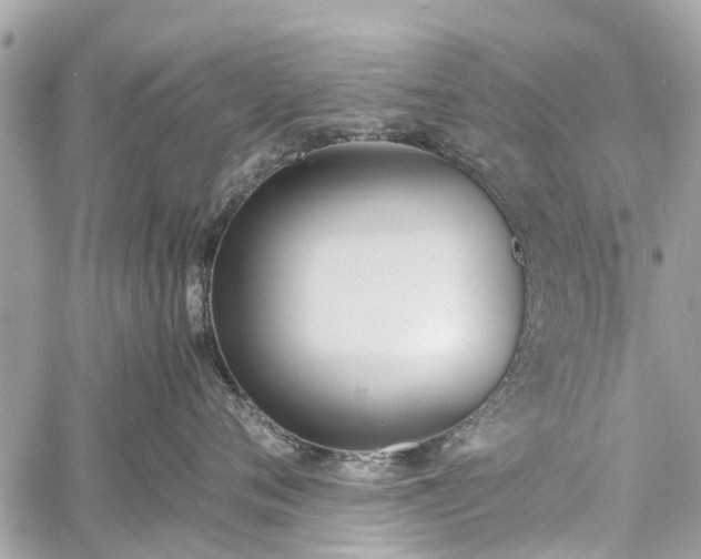 X0000060800720200511141440