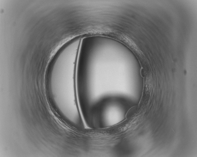 X0000060800722200511141439