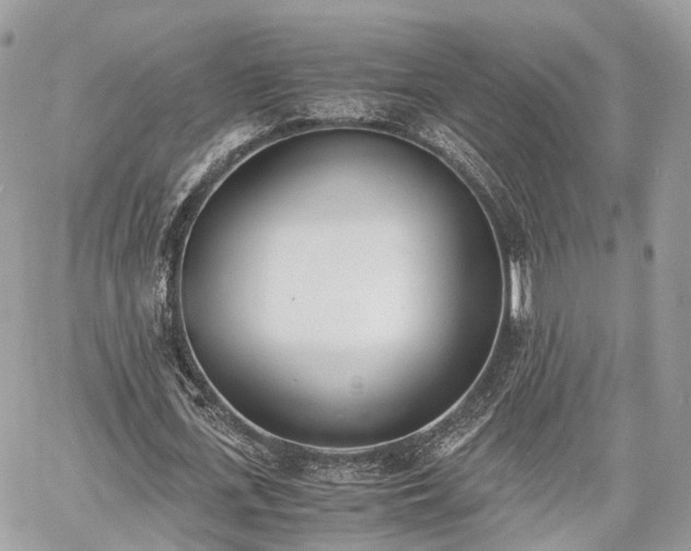 X0000060800723200511141439