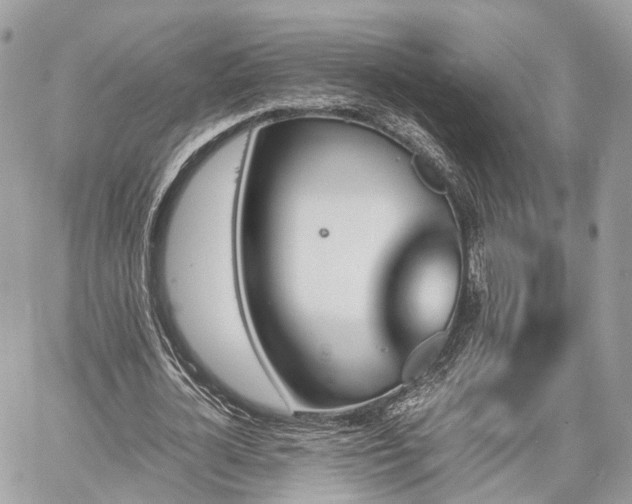 X0000060800724200511141439