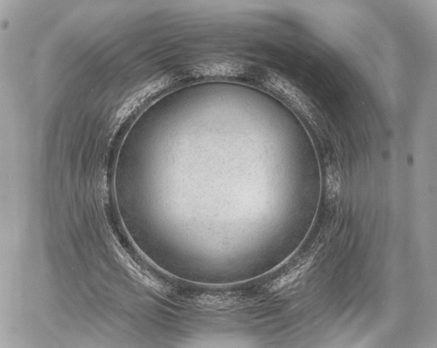 X0000060800725200511141439