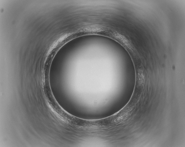 X0000060800726200511141439