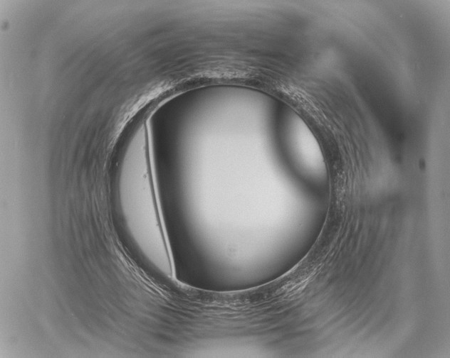 X0000060800727200511141439