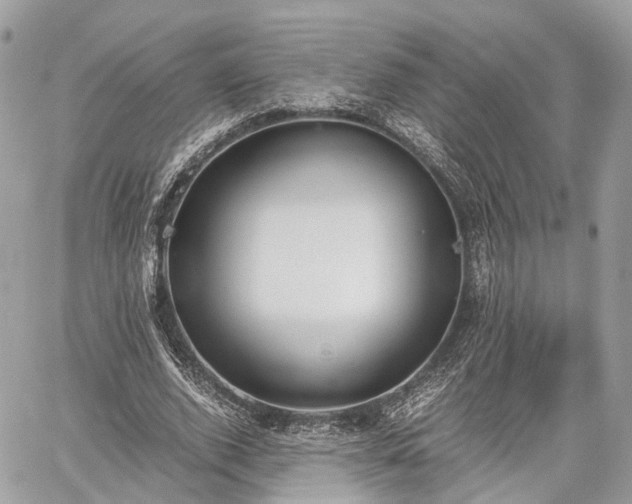 X0000060800728200511141439