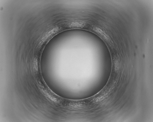 X0000060800729200511141439