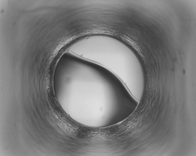 X0000060800732200511141439