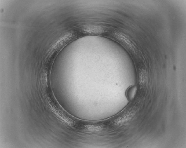 X0000060800733200511141439