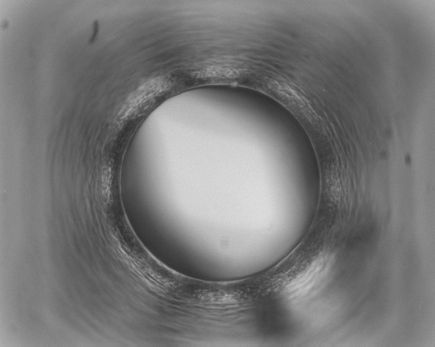 X0000060800735200511141439